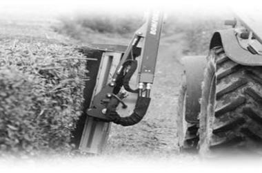 Hedge Cutting