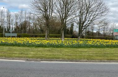 Roundabout