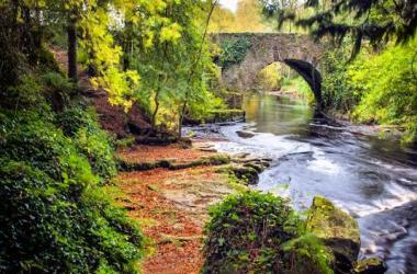 Clare Glens photo