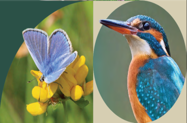 Biodiversity Plan