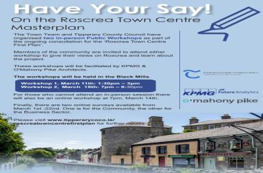 Have your say Roscrea