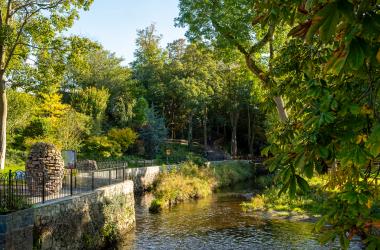 Cahir Walkway & Gardens