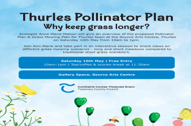 Thurles Pollinator Plan 