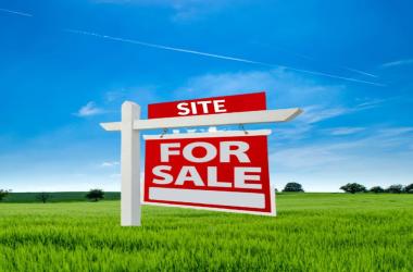 Site for Sale