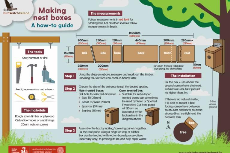 BirdWatch Ireland DIY Bird Box Leaflet