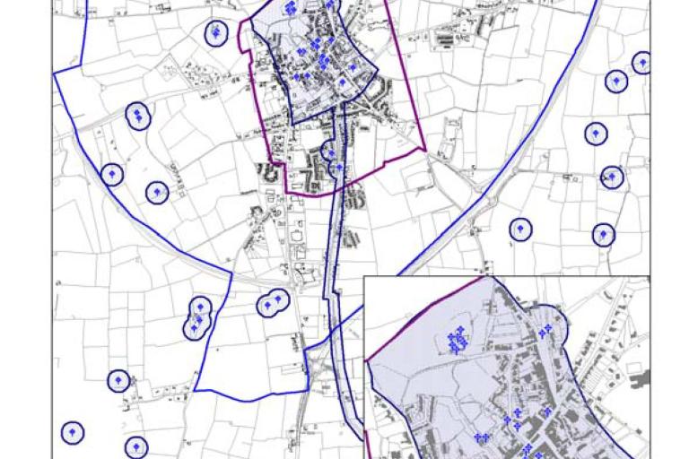 Cashel Archaeological Assets