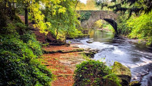 Clare Glens photo