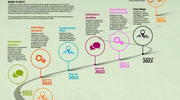 RZLT timeline graphic 