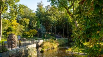 Cahir Walkway & Gardens